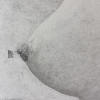 A small American flag is planted in a mound of a breast, on the tip of nipple.
