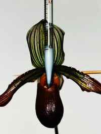 Selected Work