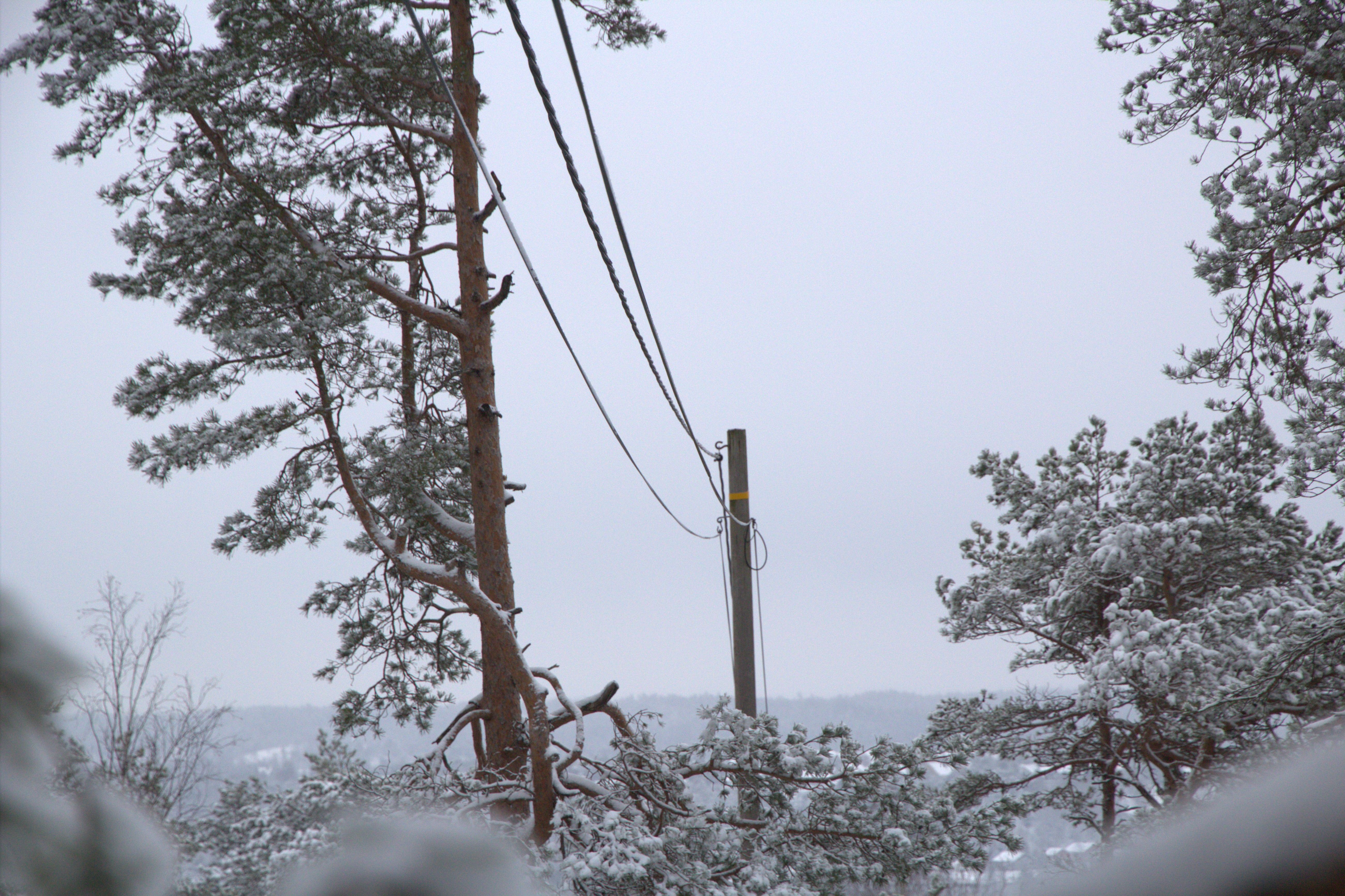Strømmaster og kraftlinjer i snødekt skog vinterstid