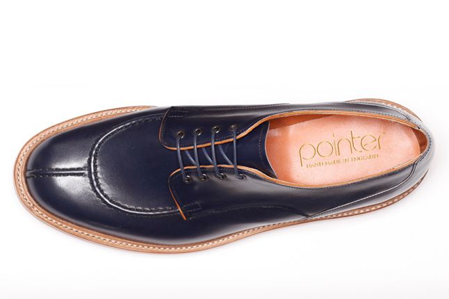 Pointer Thurston Navy 02 1