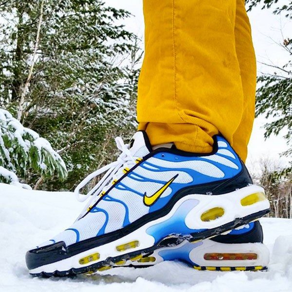 air max plus paradise