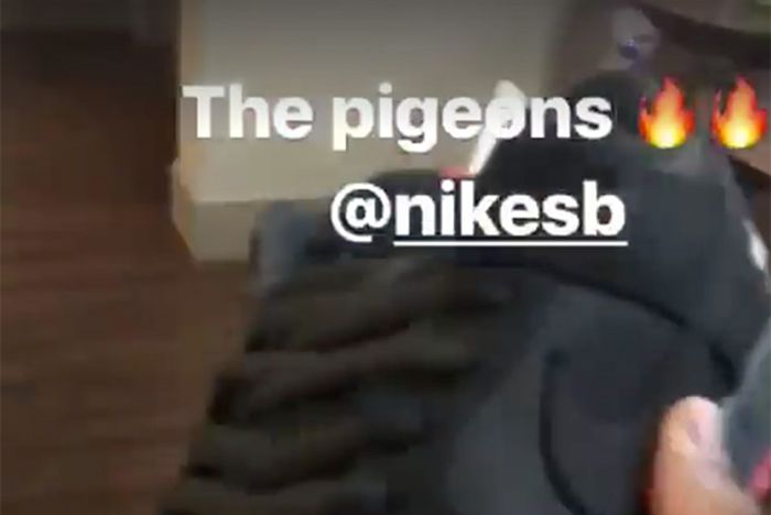 Nike Sb Pigeon Dunk Release Date 1