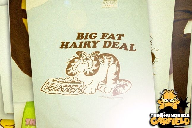 The Hundreds Garfield 10 1