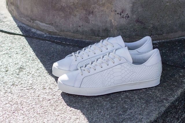 【⠀希少】adidas Rod Laver Reptile White Navy adidas-consortium-rod-laver-
