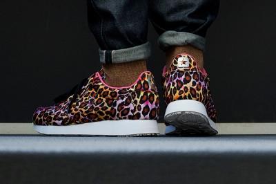Converse Auckland Racer Animal Pack 6
