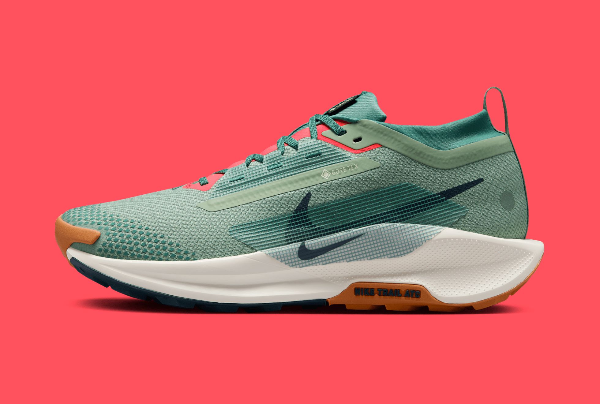Nike's Pegasus Trail 5 GTX, the Shoe You Need to Tackle All