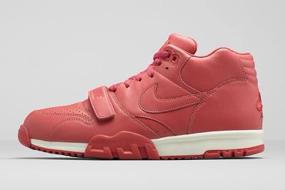 Nike Air Trainer Collection 8
