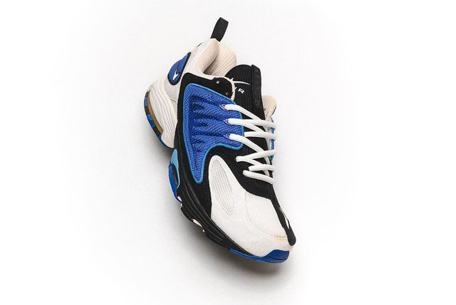 nike air zoom citizen