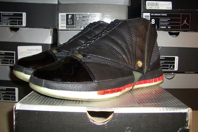 Rebecca Dahms Wmns Basketball Collection Air Jordan 19 1
