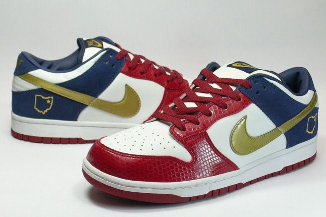 Nike Dunk Sample Lebron 2 1
