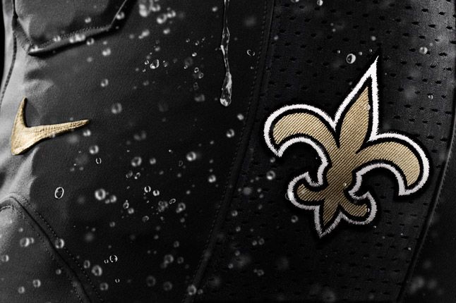 New Orleans Saints Detail 1