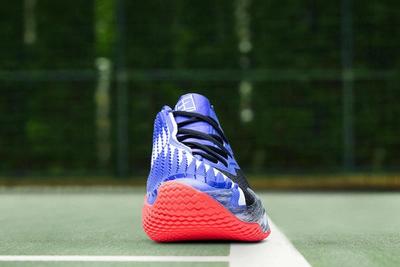 Nike Court Zoom Vapor Cage 4