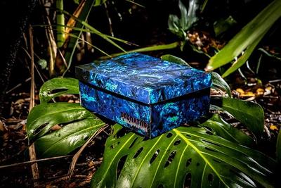 Reebok Predator Pack Box