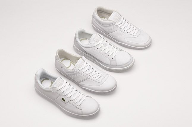 Lacoste 1951 Family