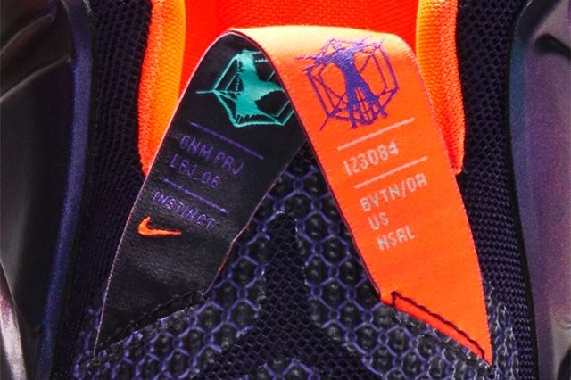 Nike Lebron 12 Instinct Bump 8