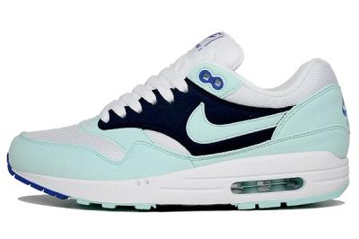 Nike Air Max 1 Preview Overkill 5 1