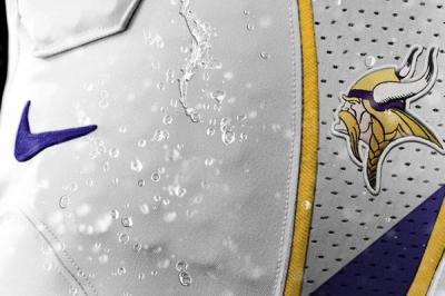 Minnesota Vikings Detail 1