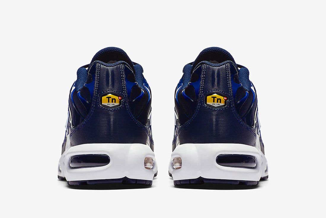 nike air max plus gradient pack