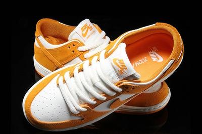 Nike Sb Dunk Circuit Orange 3