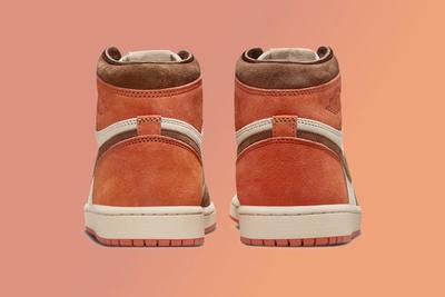 Air Jordan 1 Retro High OG Dusted Clay White Brown Footwear Sneakers