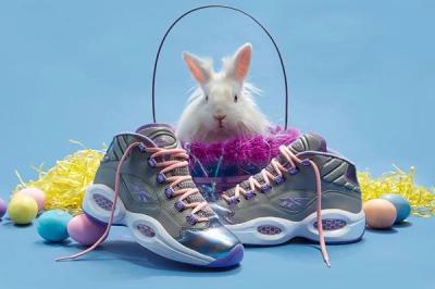 Reebok Question Mid Easter 7