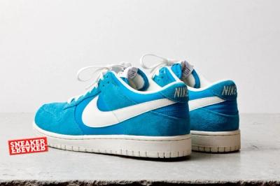 Nike Dunk Low Turquoise Heel Quarter