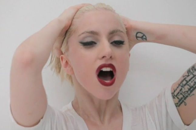Lady Gaga For Supreme Vid - Industry News