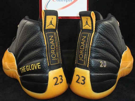 Gary Payton Air Jordan 12 PE