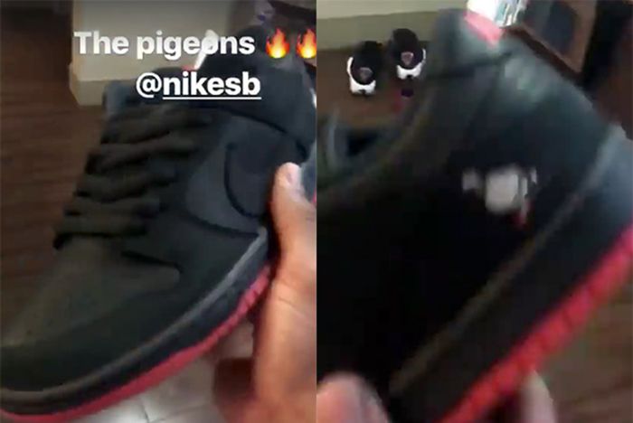 Nike Sb Pigeon Dunk Release Date 3