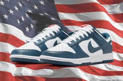 Nike Dunk Low 'USA'