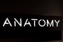 Anatomy Store Opening South Africa Thumb