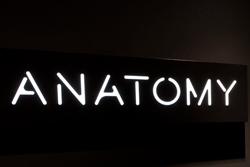 Anatomy Store Opening South Africa Thumb