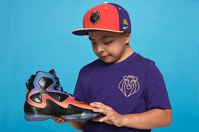 Nike Lebron 13 Doernbecher Freestyle Collection 201510