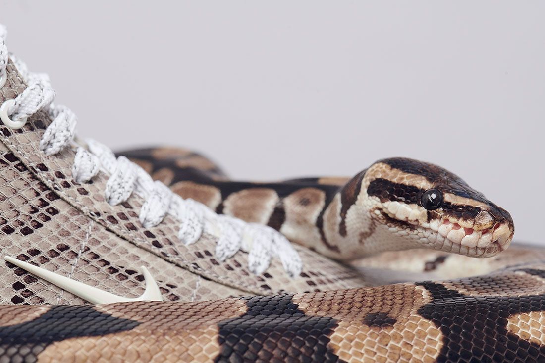 Snake Tales: Soulland's Silas Adler Chats This Weekend's Nike SB