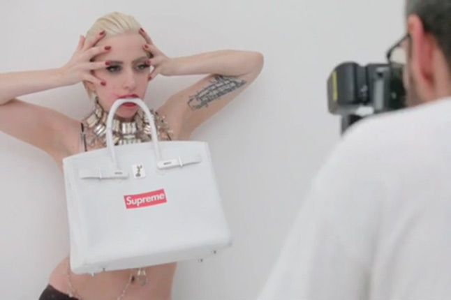 Lady Gaga For Supreme Vid - Industry News
