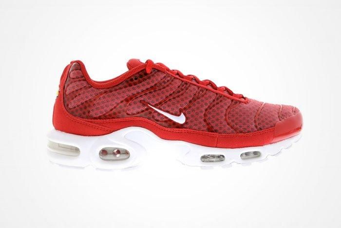 Nike air clearance max plus mesh