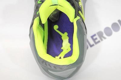 Nike Le Bron Xi Dunkman 06