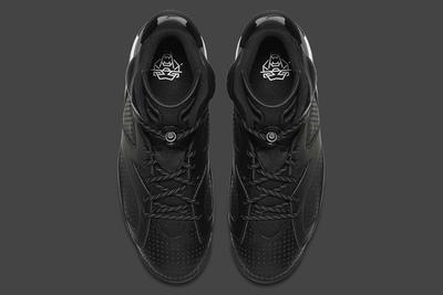 Air Jordan 6 Black Cat13