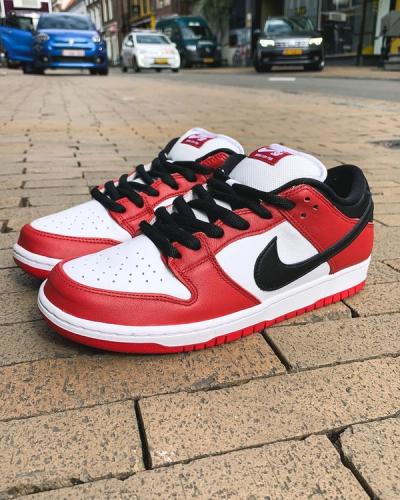 Nike Dunk Low Pro Chicago 