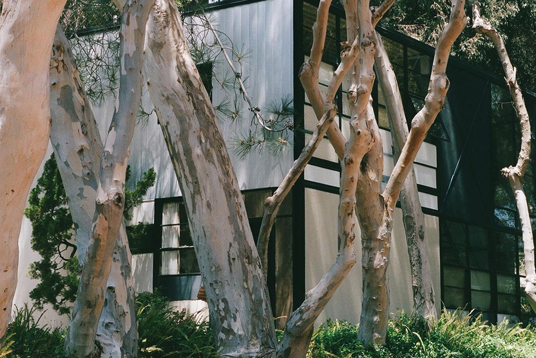 Eames Office Link with Globe to Create a Eucalyptus Skate Deck