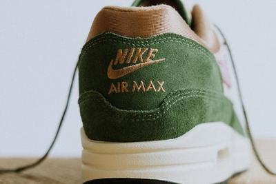 Nike Air Max 1 Treeline DR9773-300
