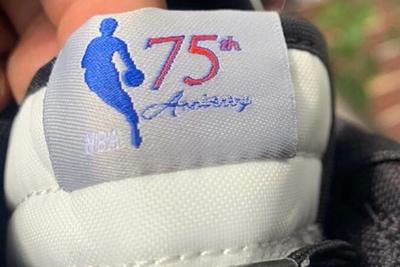 NBA x Nike Dunk Low EMB '75th Anniversary' leak