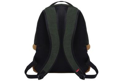 Supreme North Face Backpack Green Straps 1