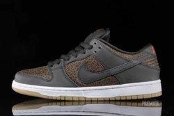 Dunk Low Premium Dp