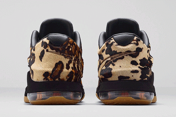 Kd 7 longhorn sales