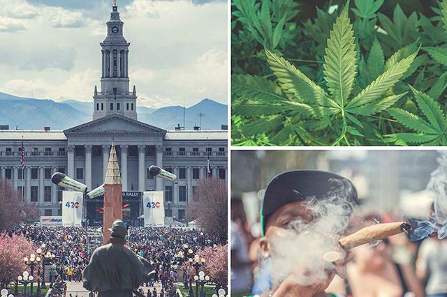 Akomplice Marijuana For The Future Collection 3