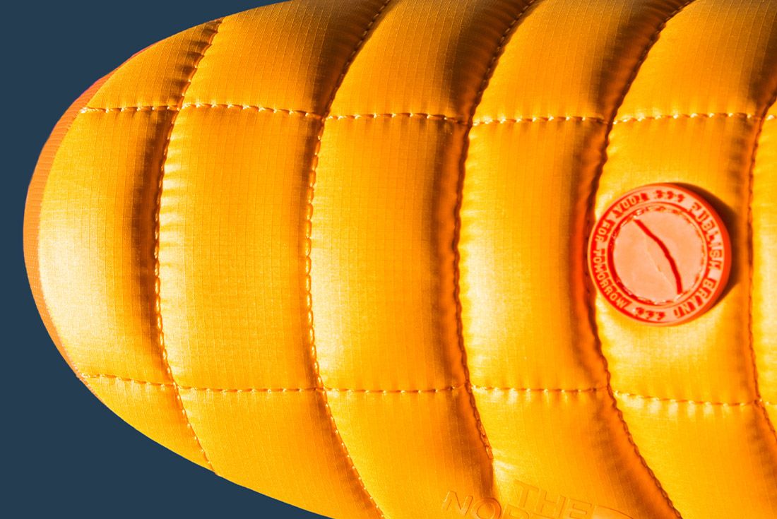 Publish Brand The North Face 7