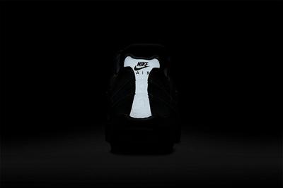 Nike Air Max 95 DQ9468-355