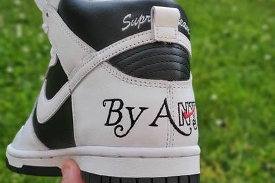 Supreme x Nike SB Dunk High By Any Means