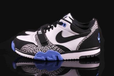 Nike Air Trainer 1 Low St Concord 2